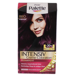 se/2923/1/schwarzkopf-poly-palette-aubergine-880